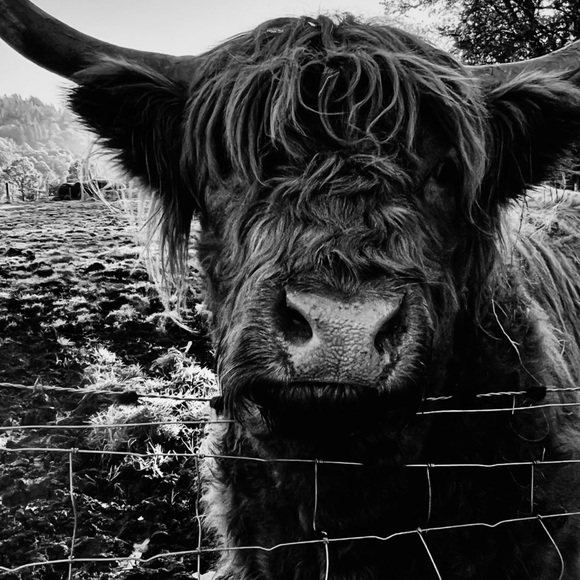 💋Meet The Posher💋 - Picture 14 of 16